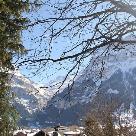 Lodge - Elements Lodge Grindelwald Luaran gambar