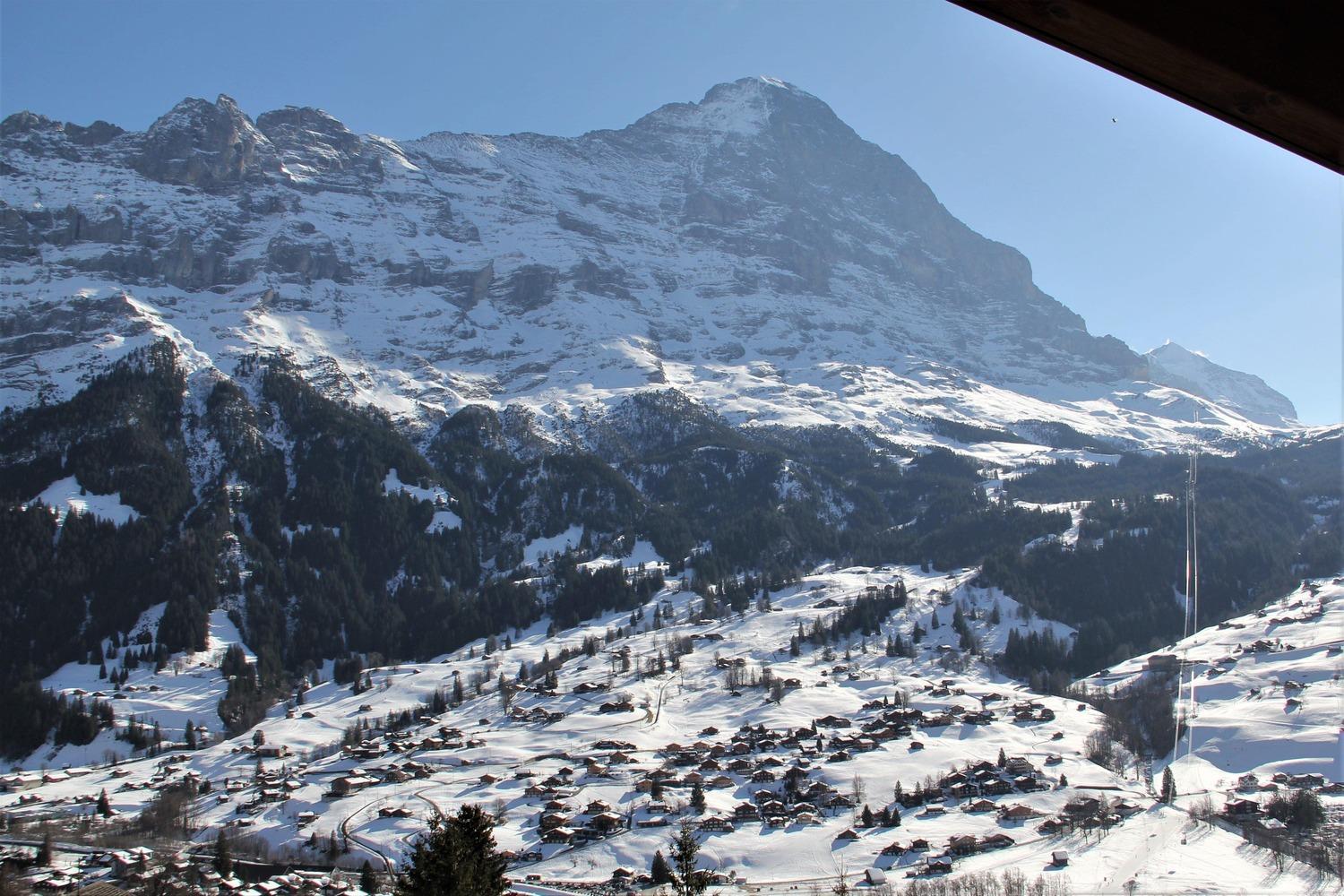 Lodge - Elements Lodge Grindelwald Bilik gambar