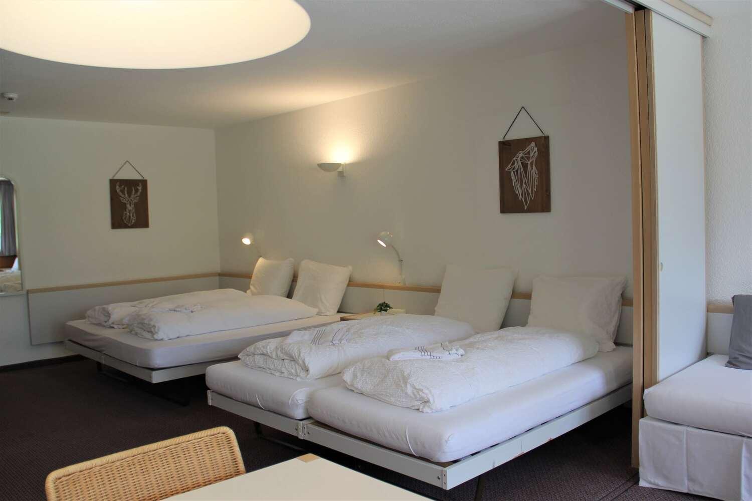 Lodge - Elements Lodge Grindelwald Bilik gambar